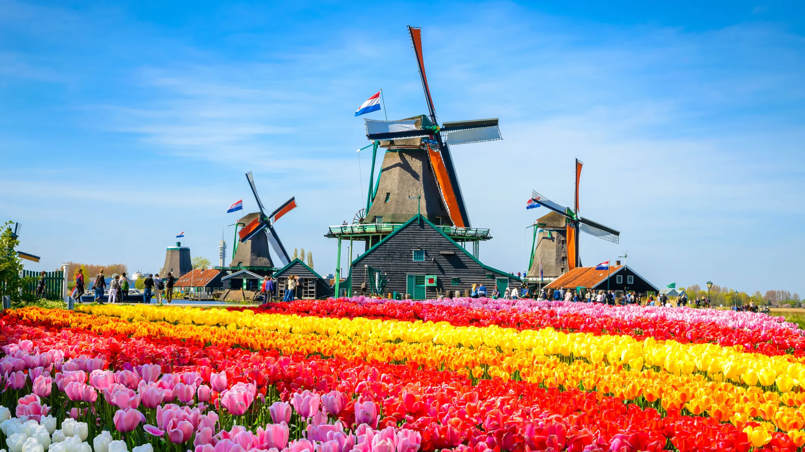 Amsterdam canal houses and historic waterfront in the Netherlands
