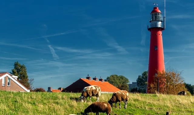 Hook of Holland beach, dunes and North Sea coast in the Netherlands