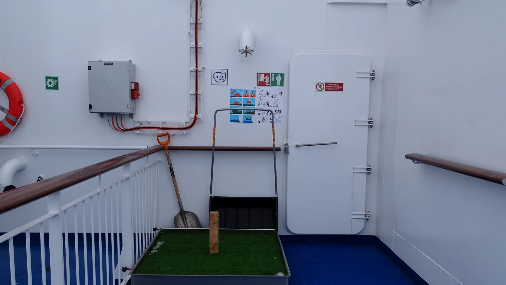 Dedicated pet facilities aboard Aurora Botnia
