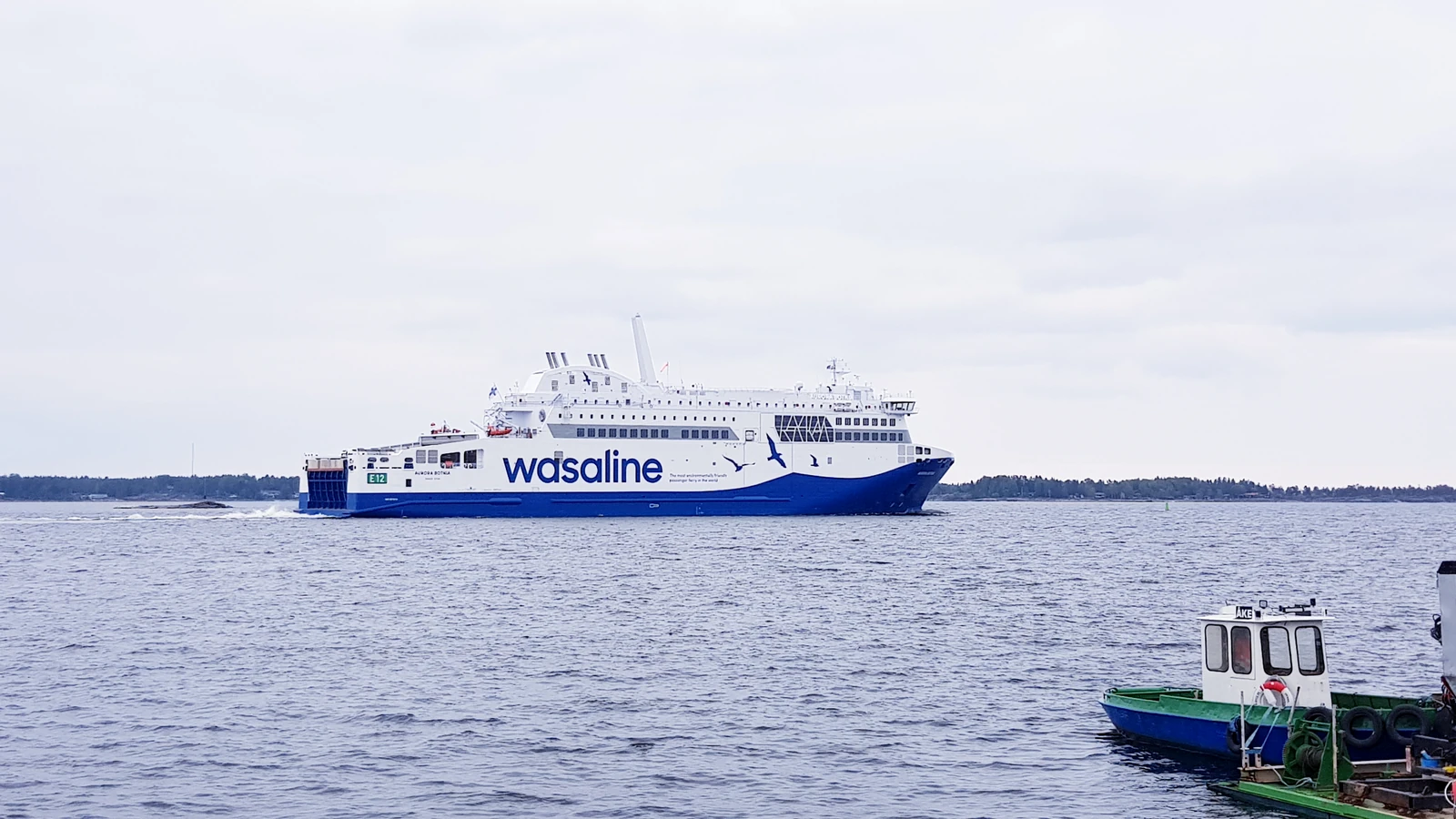 Aurora Botnia in Wasaline colours